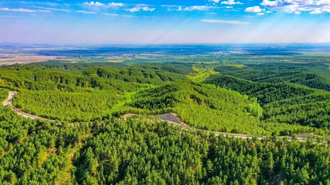 从“秃岭荒坡”到“林海雪原”！呼和浩特新城区不断“绘”新景！