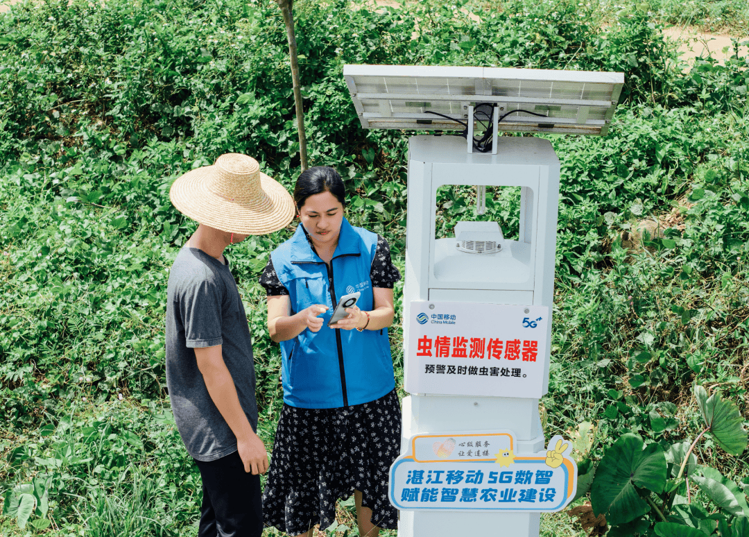手机变身新农具！湛江农田刮起AI科技旋风